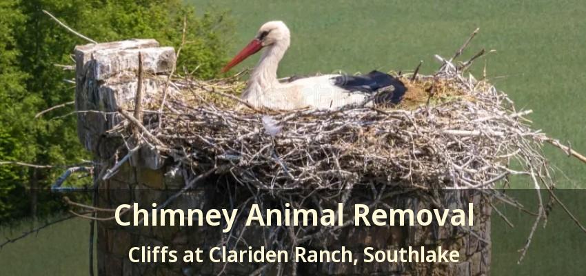 Chimney Animal Removal Cliffs at Clariden Ranch, Southlake - TX