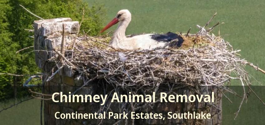 Chimney Animal Removal Continental Park Estates, Southlake - TX