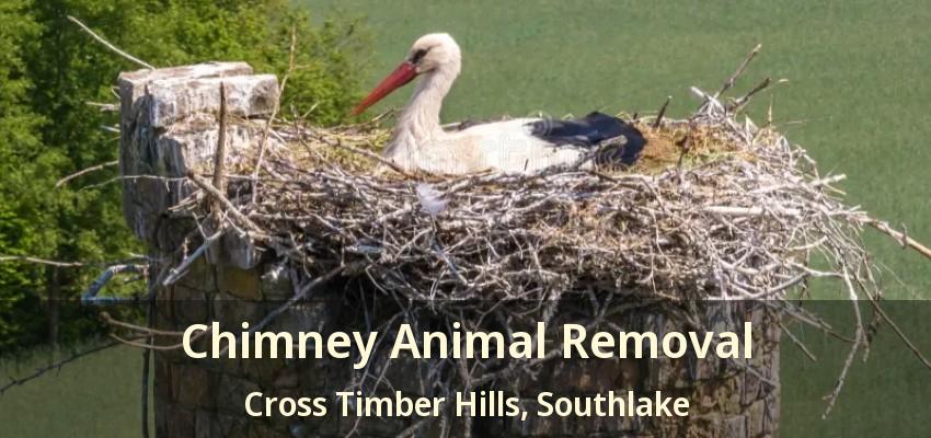 Chimney Animal Removal Cross Timber Hills, Southlake - TX