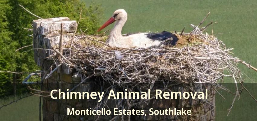 Chimney Animal Removal Monticello Estates, Southlake - TX