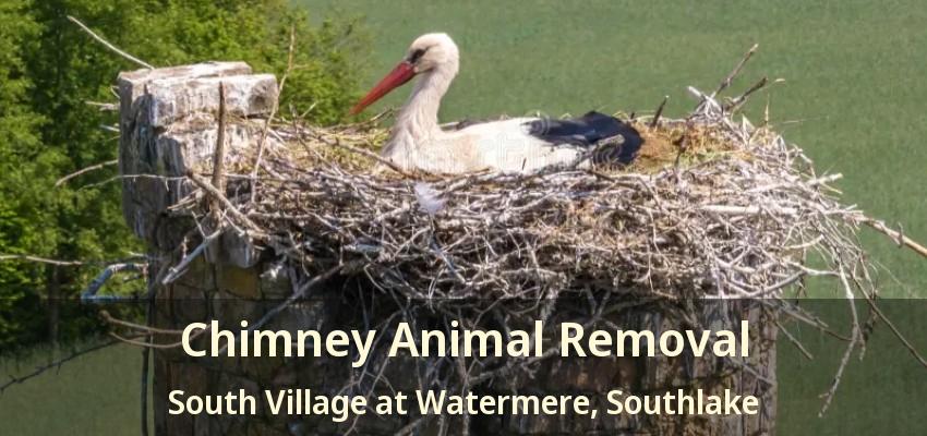 Chimney Animal Removal South Village at Watermere, Southlake - TX
