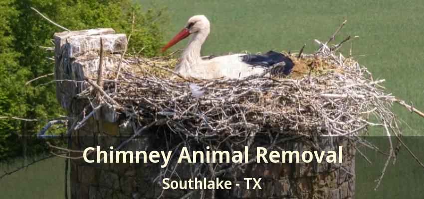 Chimney Animal Removal Southlake - TX