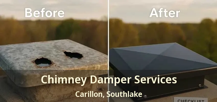 Chimney Damper Services Carillon, Southlake - TX