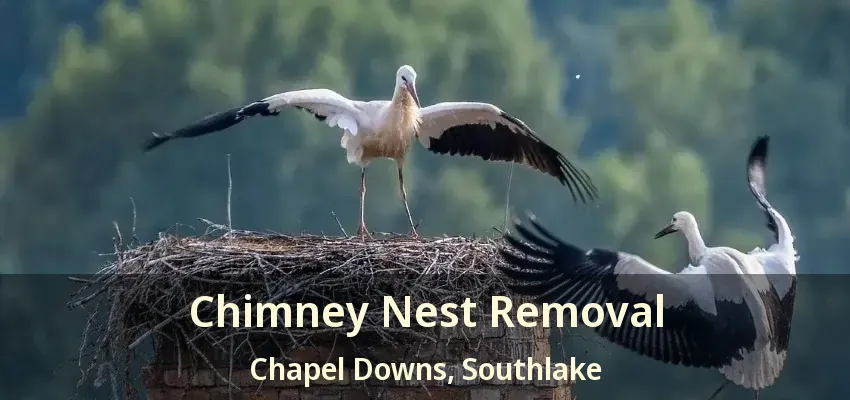 Chimney Nest Removal Chapel Downs, Southlake - TX