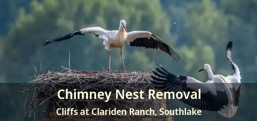 Chimney Nest Removal Cliffs at Clariden Ranch, Southlake - TX