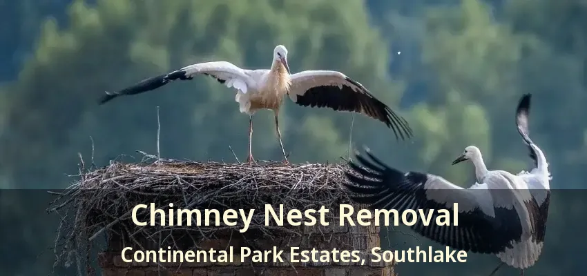 Chimney Nest Removal Continental Park Estates, Southlake - TX