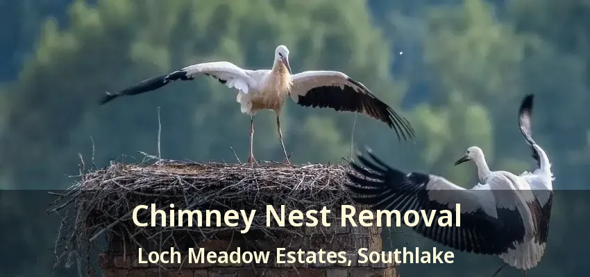 Chimney Nest Removal Loch Meadow Estates, Southlake - TX