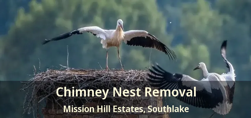 Chimney Nest Removal Mission Hill Estates, Southlake - TX