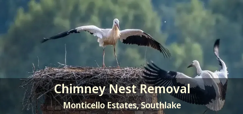 Chimney Nest Removal Monticello Estates, Southlake - TX