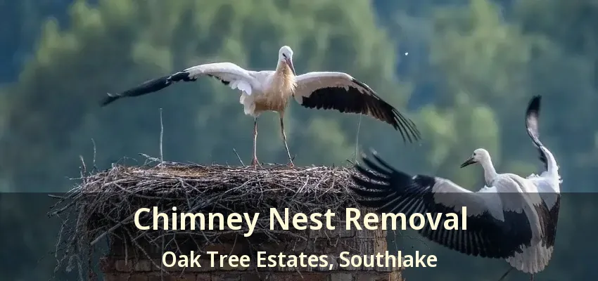 Chimney Nest Removal Oak Tree Estates, Southlake - TX