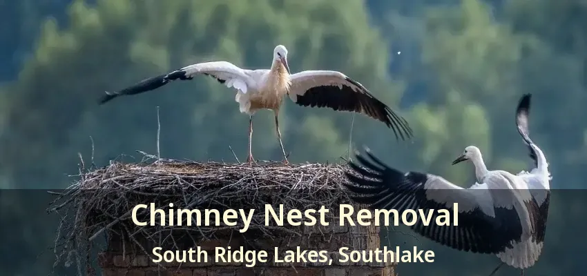 Chimney Nest Removal South Ridge Lakes, Southlake - TX