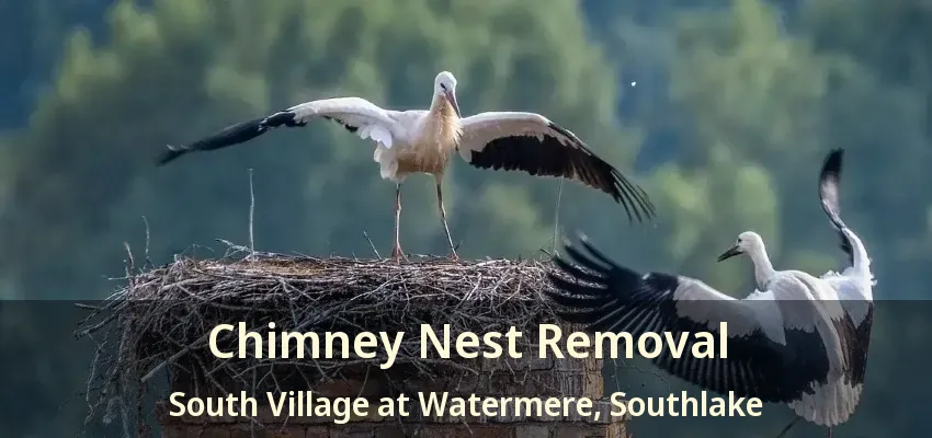Chimney Nest Removal South Village at Watermere, Southlake - TX