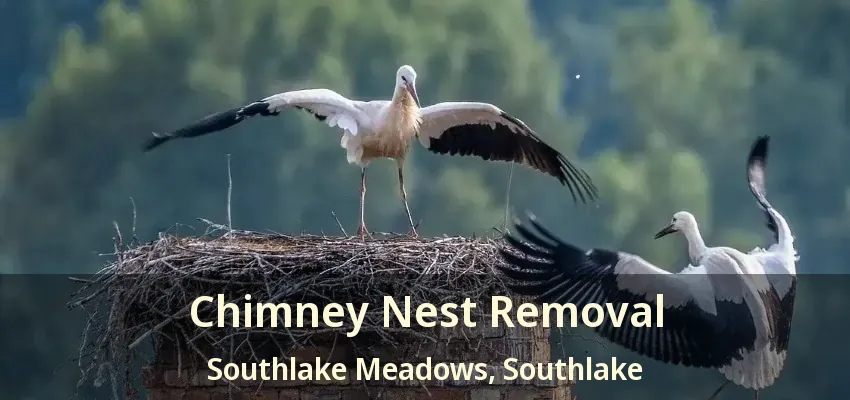 Chimney Nest Removal Southlake Meadows, Southlake - TX