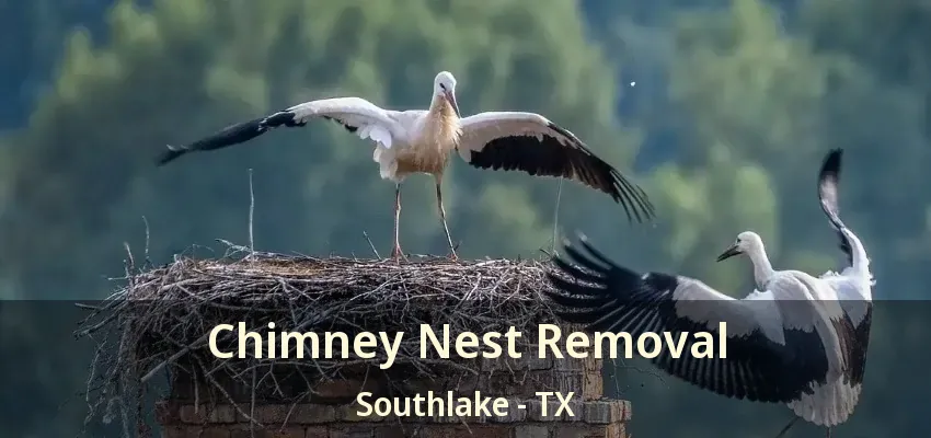 Chimney Nest Removal Southlake - TX