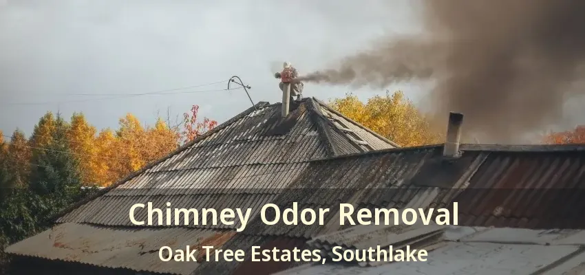 Chimney Odor Removal Oak Tree Estates, Southlake - TX