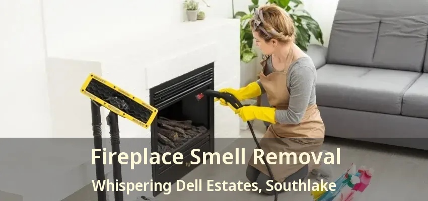 Fireplace Smell Removal Whispering Dell Estates, Southlake - TX
