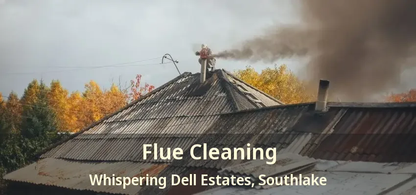 Flue Cleaning Whispering Dell Estates, Southlake - TX
