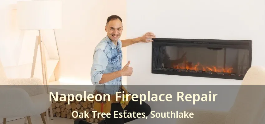 Napoleon Fireplace Repair Oak Tree Estates, Southlake - TX