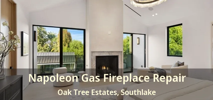 Napoleon Gas Fireplace Repair Oak Tree Estates, Southlake - TX