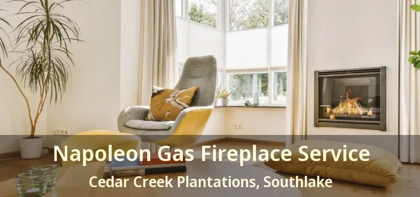Napoleon Gas Fireplace Service Cedar Creek Plantations, Southlake - TX