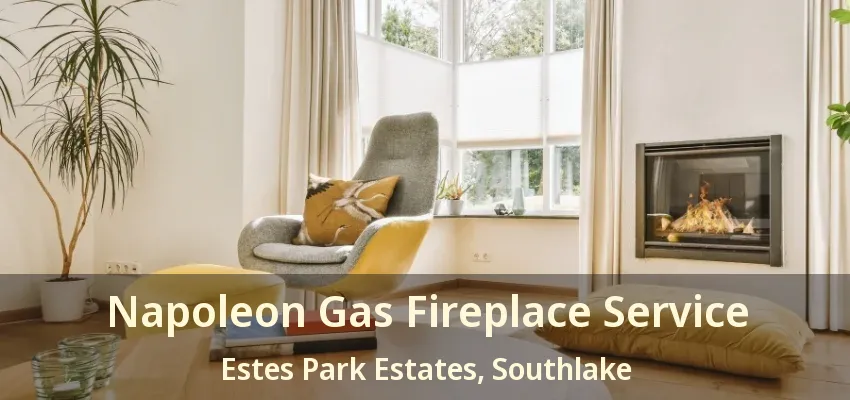 Napoleon Gas Fireplace Service Estes Park Estates, Southlake - TX