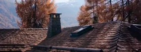Chimney Animal Removal Oak Tree Estates, Southlake