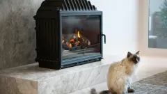Wood Burning Fireplace Repair Oak Tree Estates, Southlake