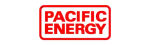Pacific Energy Enviro Fireplace Repair in Southlake